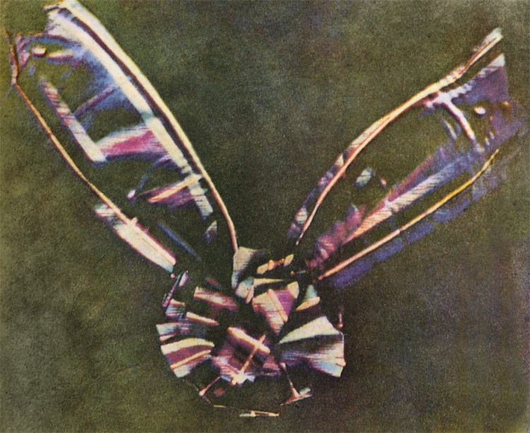 Tartan ribbon (1861)
